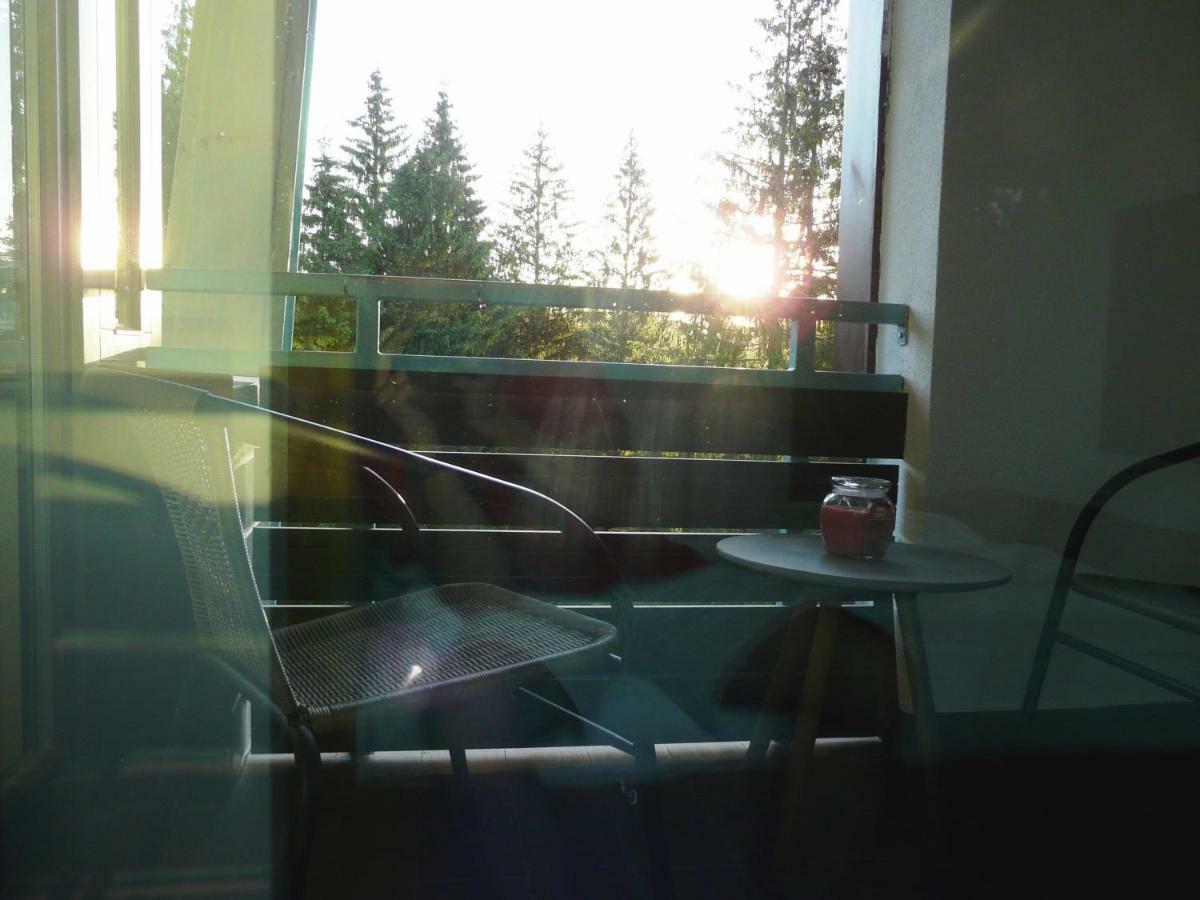 Silver Mountain Apartment A32 - 3 Rooms 3 Bathrooms Пояна-Брашов Экстерьер фото